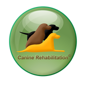 Canine Rehabilitation UK
